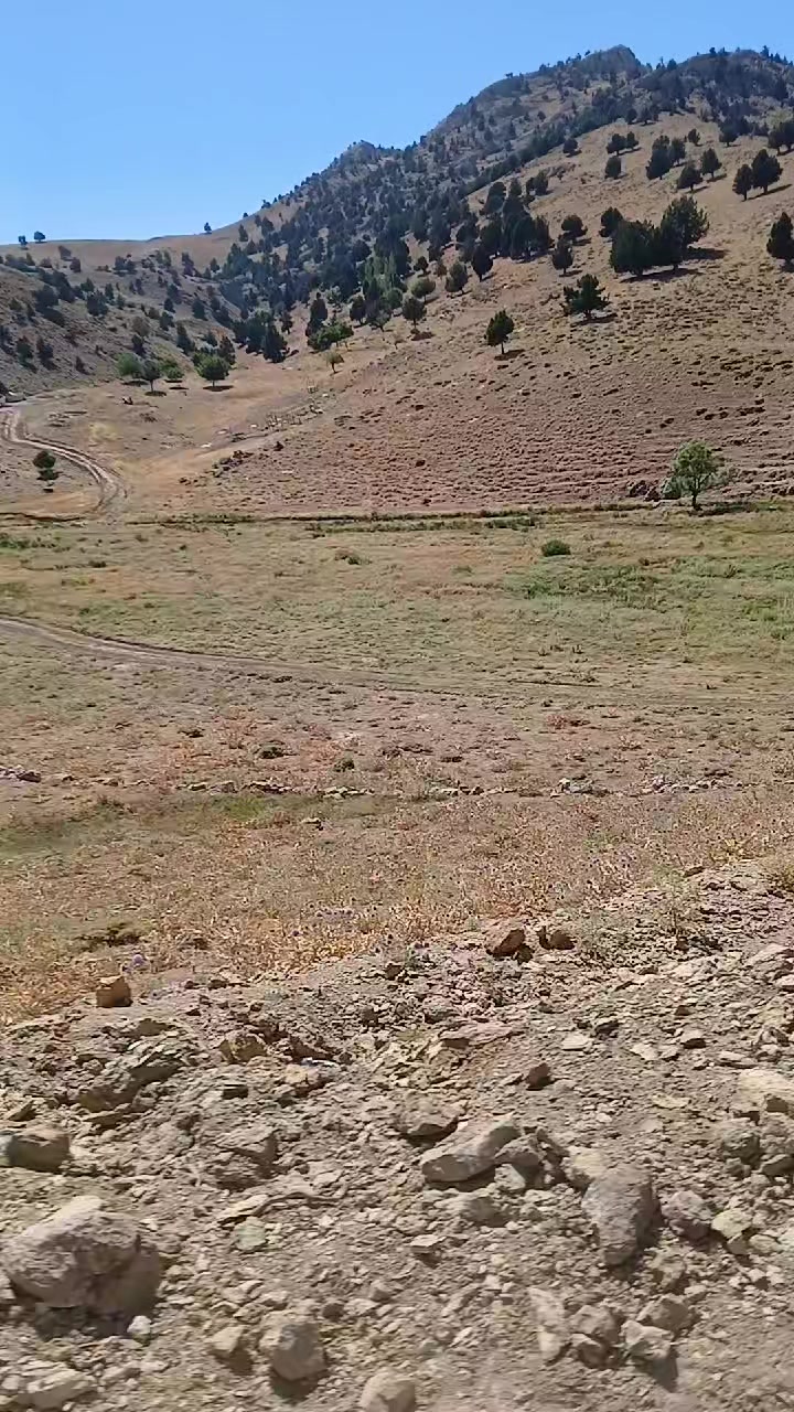 @&Uuml;mit g&ouml;kburun
