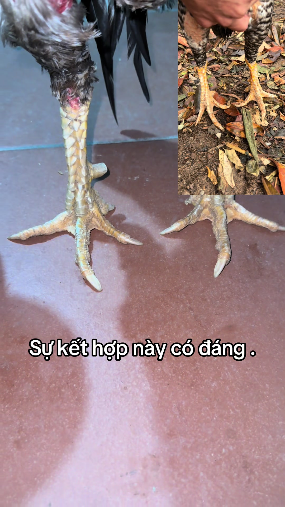 @Đức BG