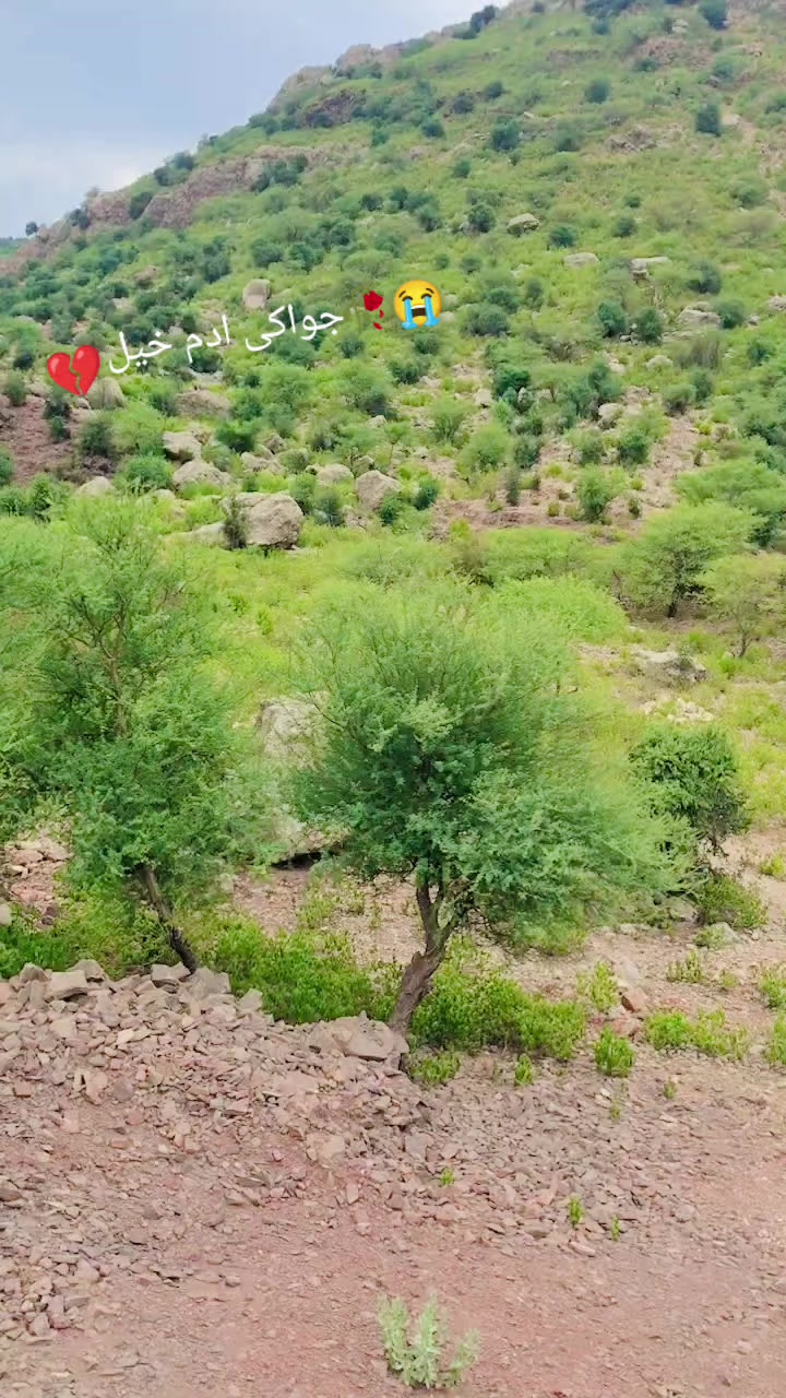 @Faizan _khan 368