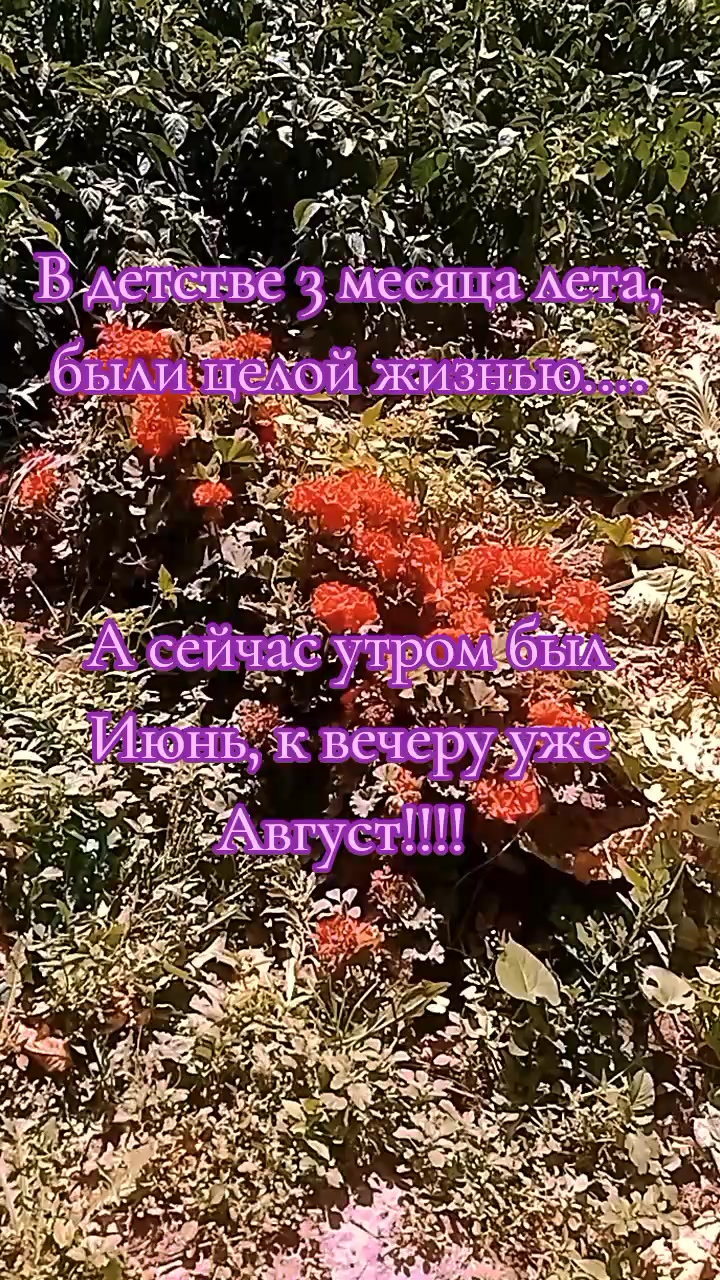 @Виктория