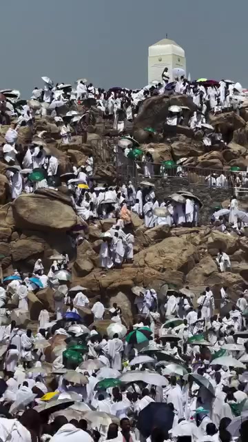 @ওয়াজিহার আম্মু