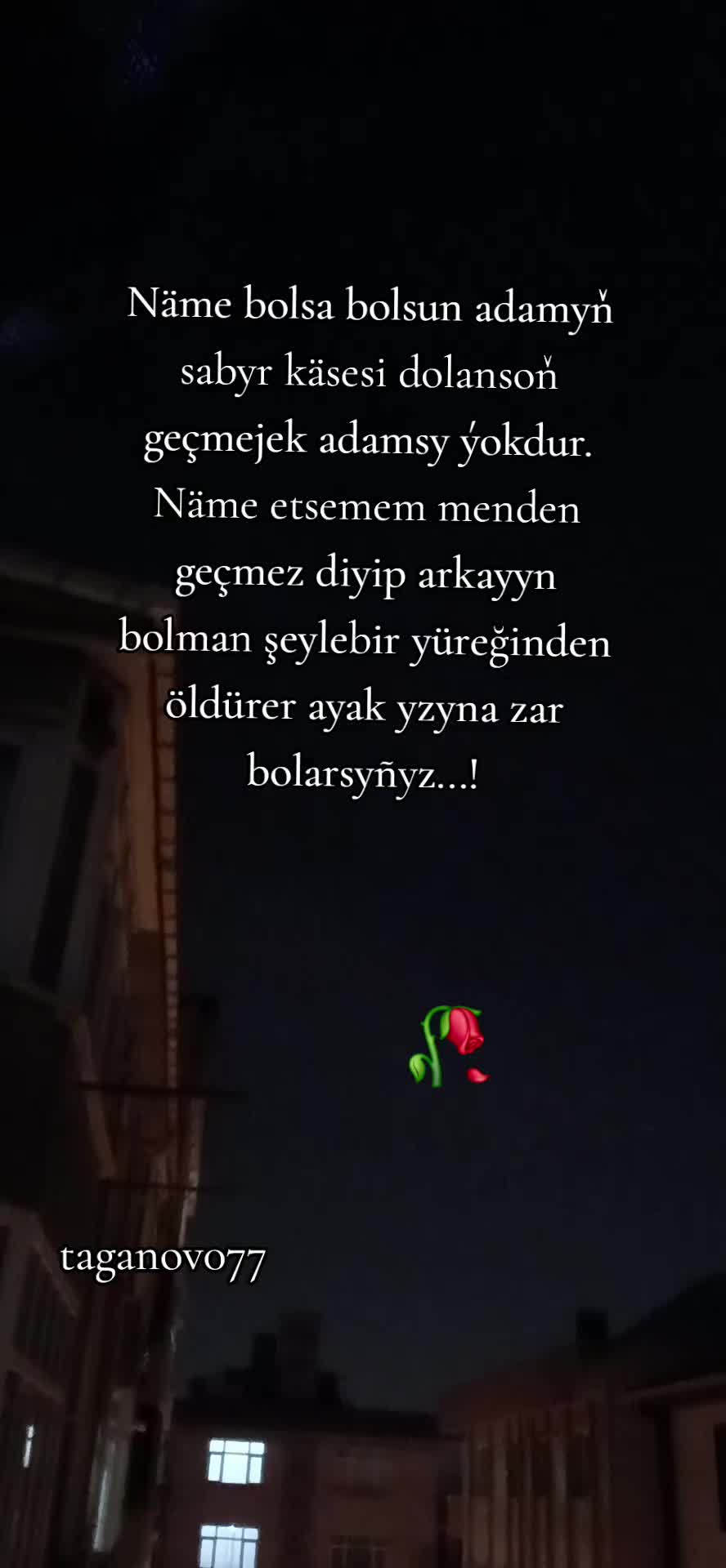 @🕊⃘꯭⃝ᷮᷧ🪽ͣMaksat ρ€ąȼ€🇹🇷