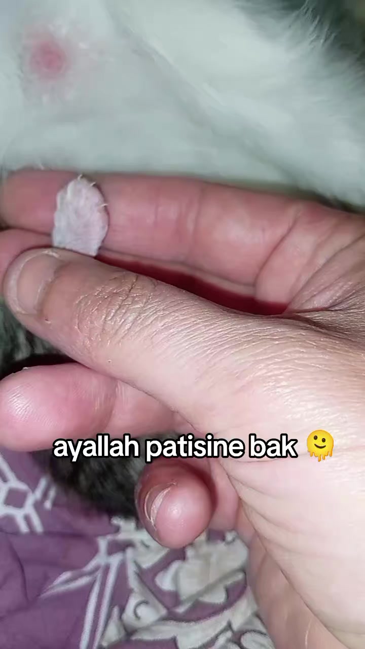 @yalniz_motorcu_25