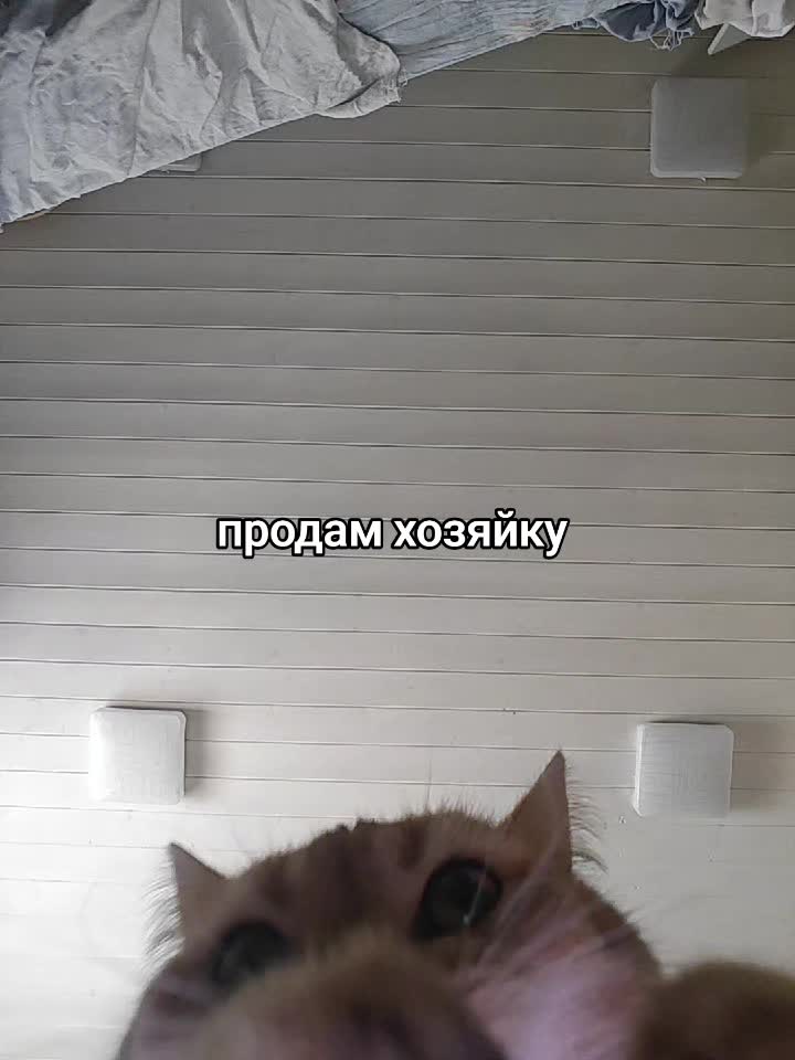 @𝙑𝙚𝙧𝙝𝙤𝙫𝙣𝙖𝙮𝙖