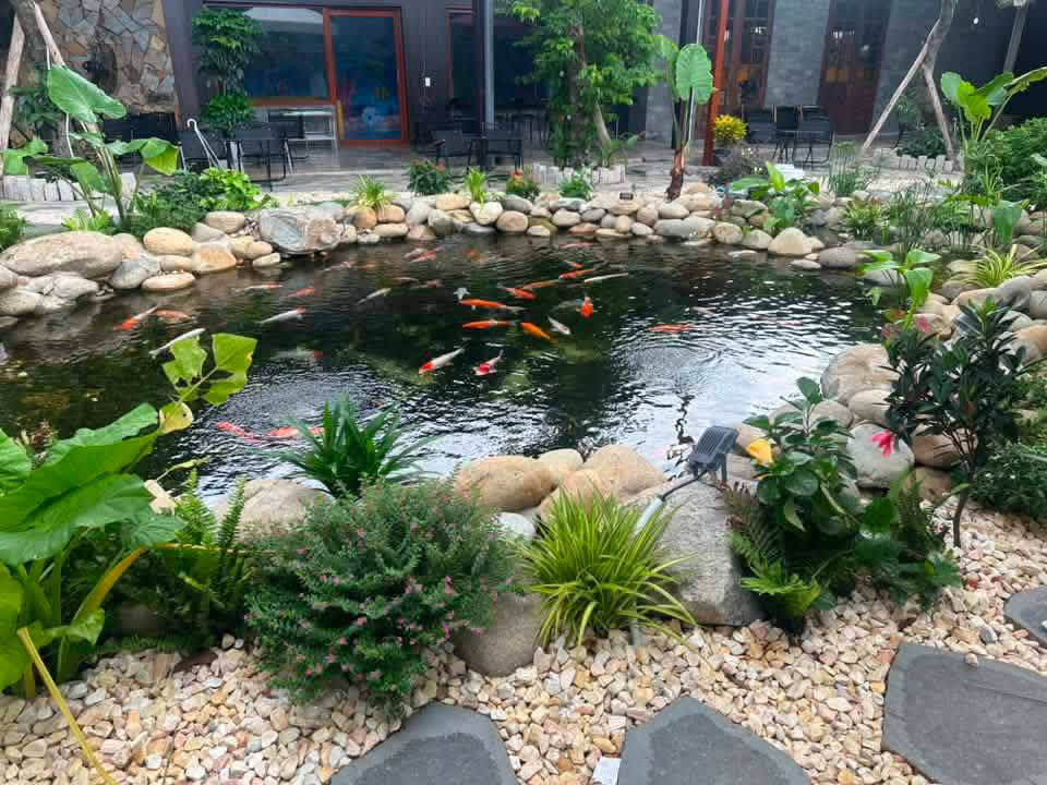 @T&acirc;ym&ocirc;n Kh&aacute;nh