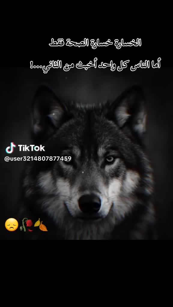 @♔✨ 𝕠𝕦𝕣𝕪 ✨♔ ︻╦̵̵̿╤─