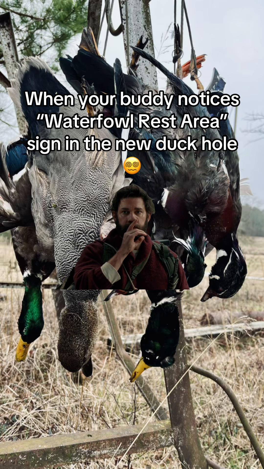 @American Mallard