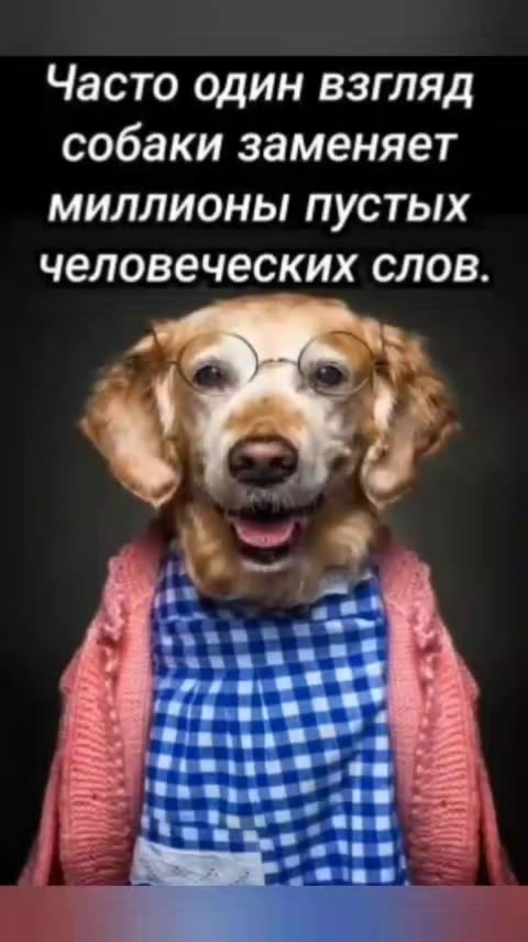 @Elenka