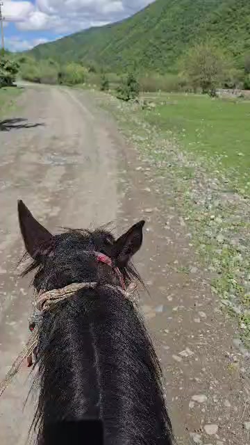 @§Мухаммад§Младший§