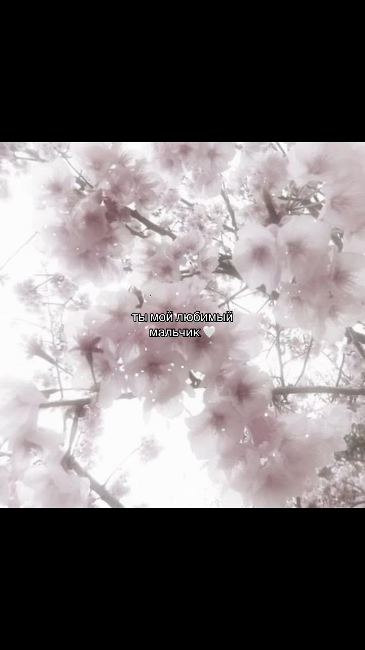 @݁˖𝜗ৎ ᥎ᥲᥒiᥣᥣᥲ‧˚꒰🐾୭ ˚