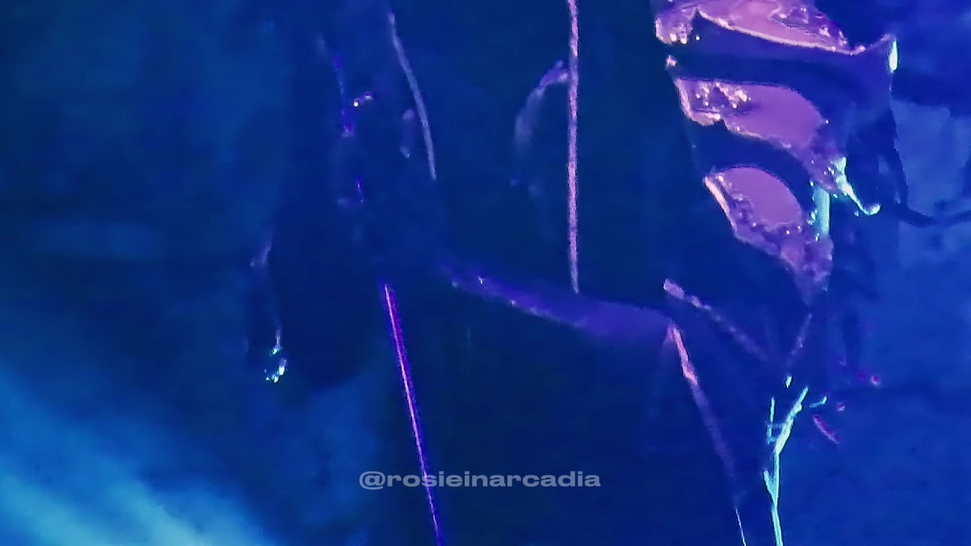 @rosieinarcadia