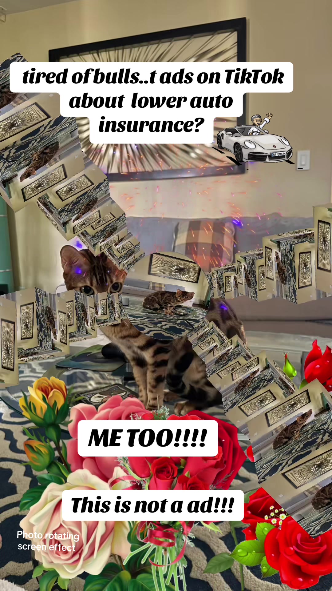 @Drew crazy cat guy