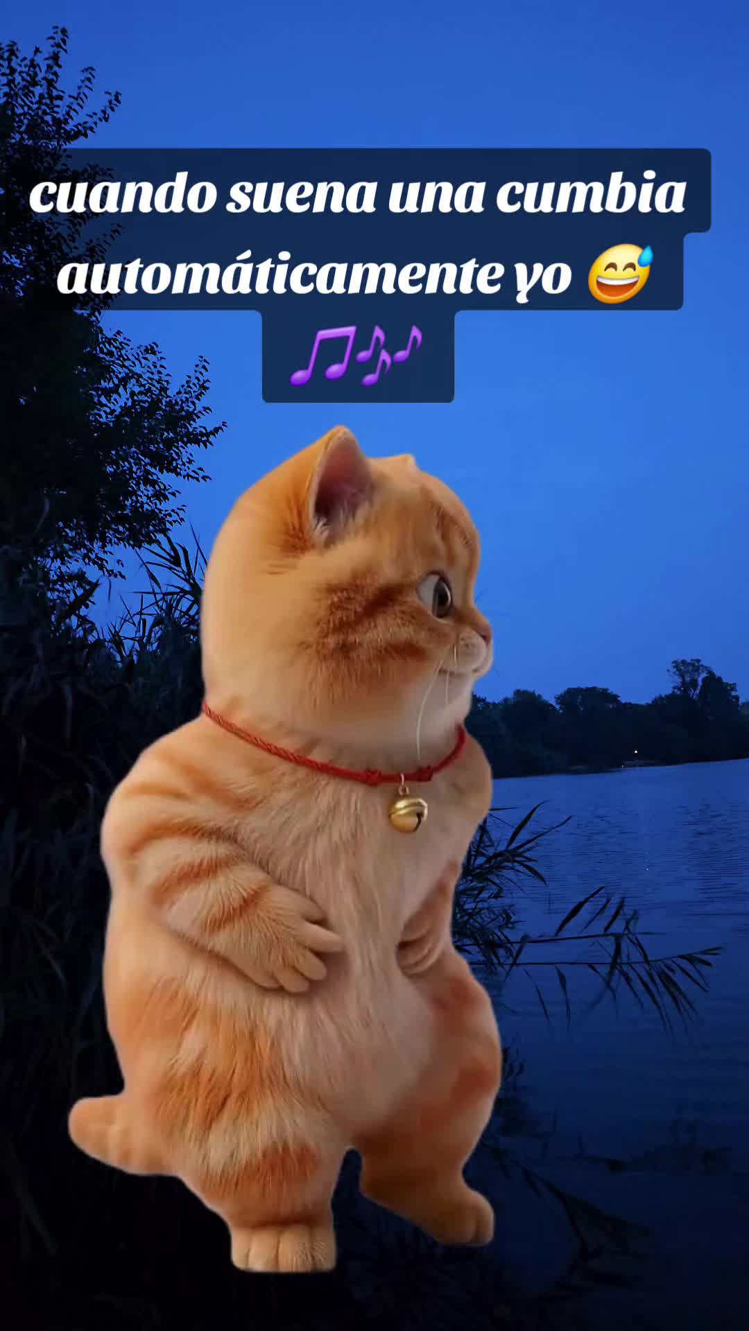 @🎶🎵🎧LUNA🎶🎵🎧