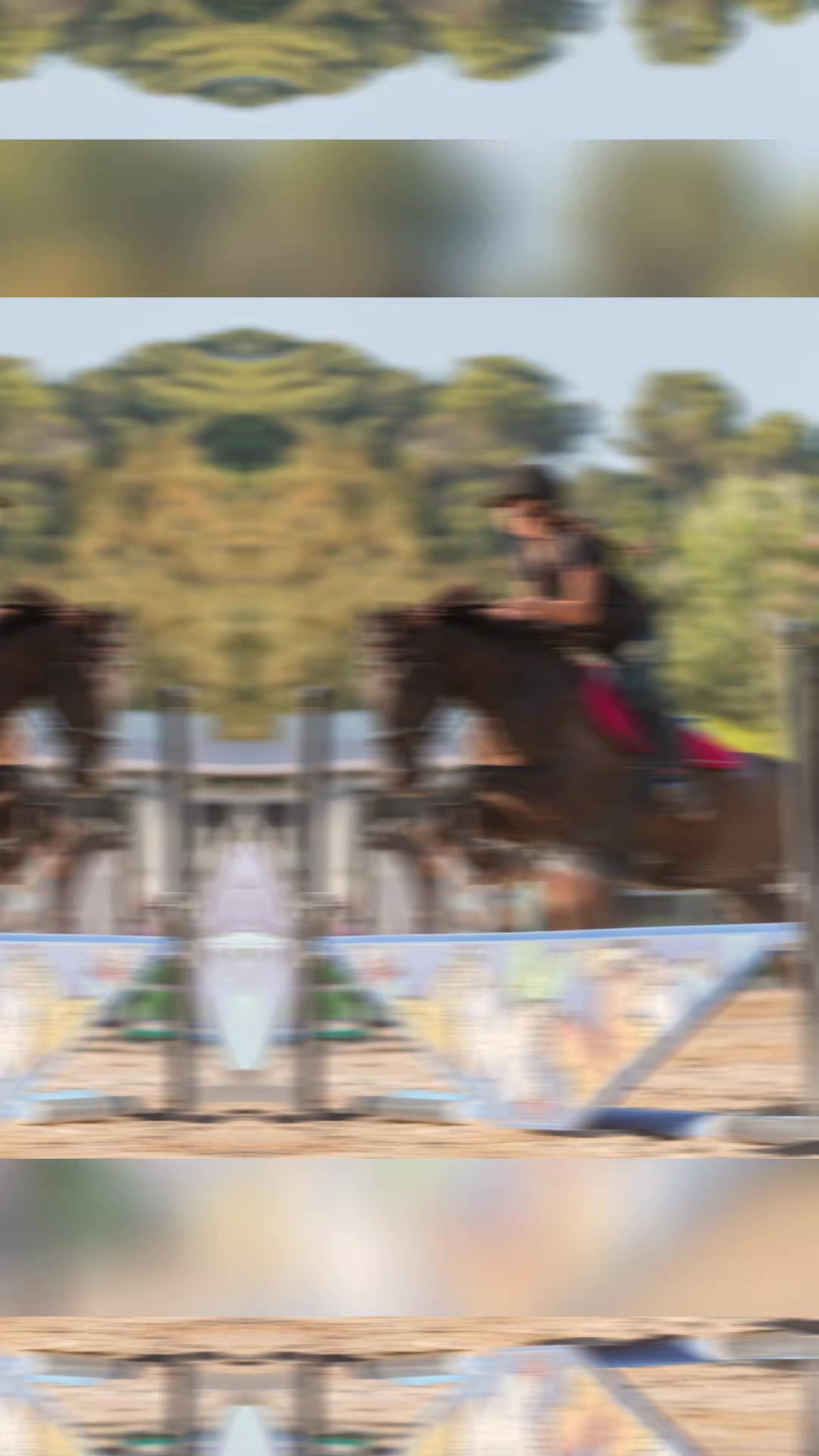 @haras de castille