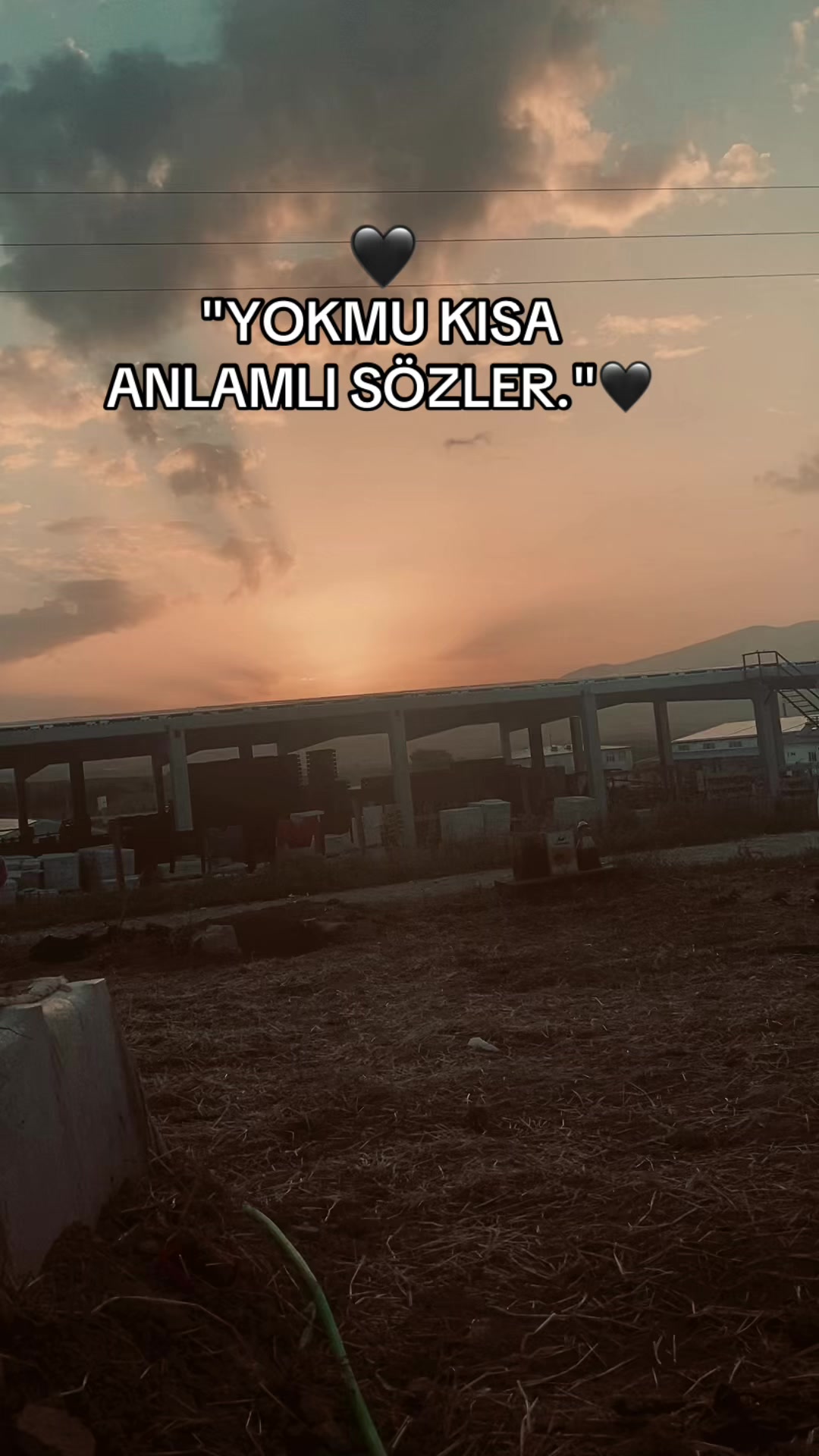 @Seziz adam😞