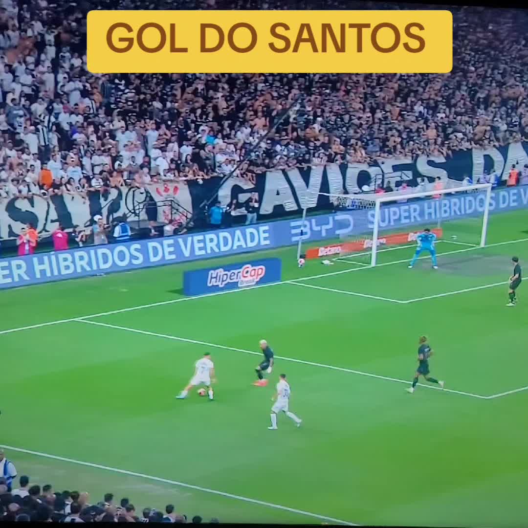 @GolsnaRede