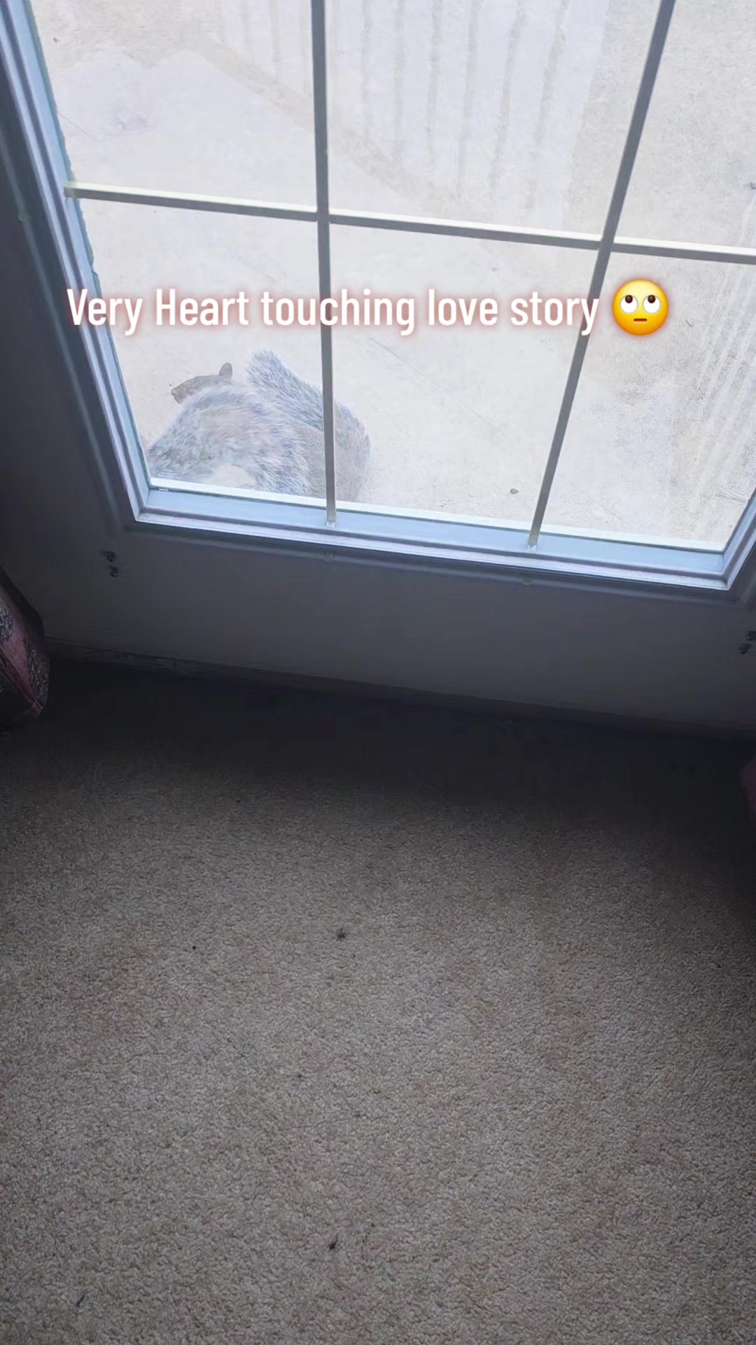 @Anhadsingh