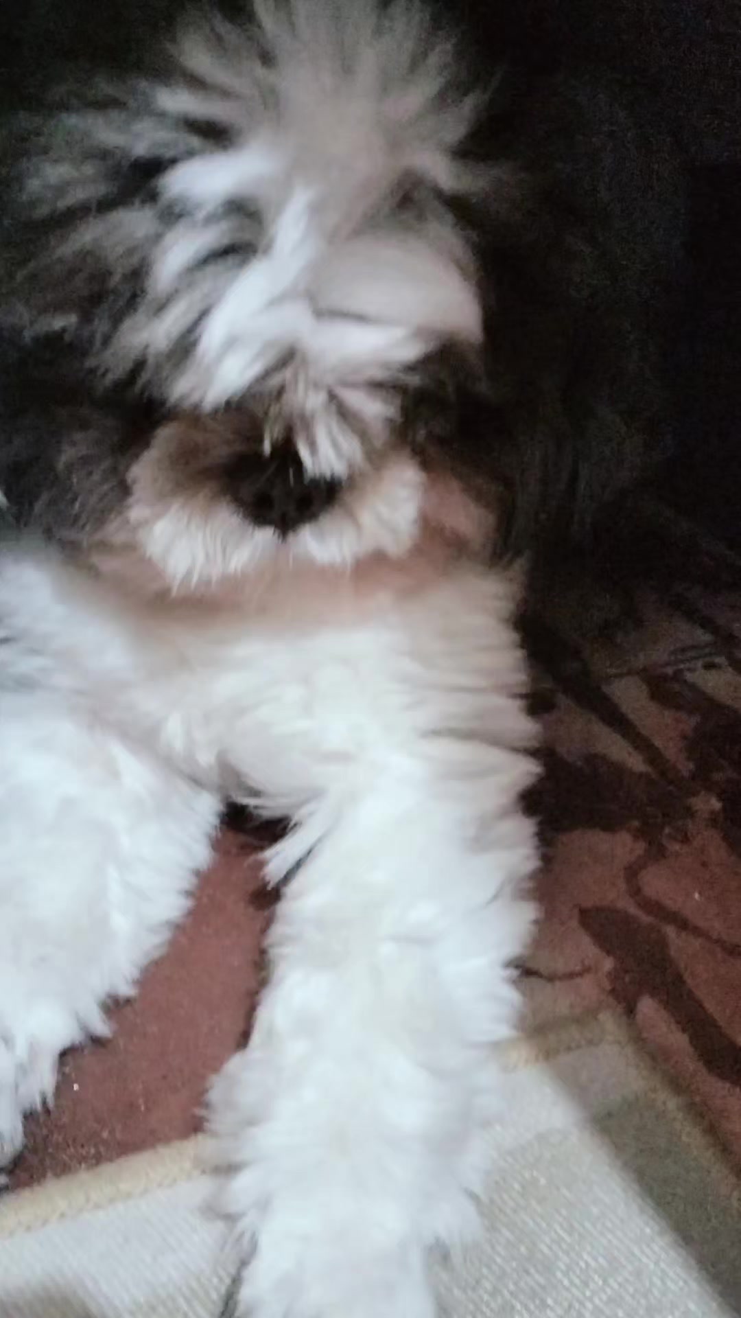 @FurMomCel🤎
