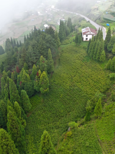 @TourNepal