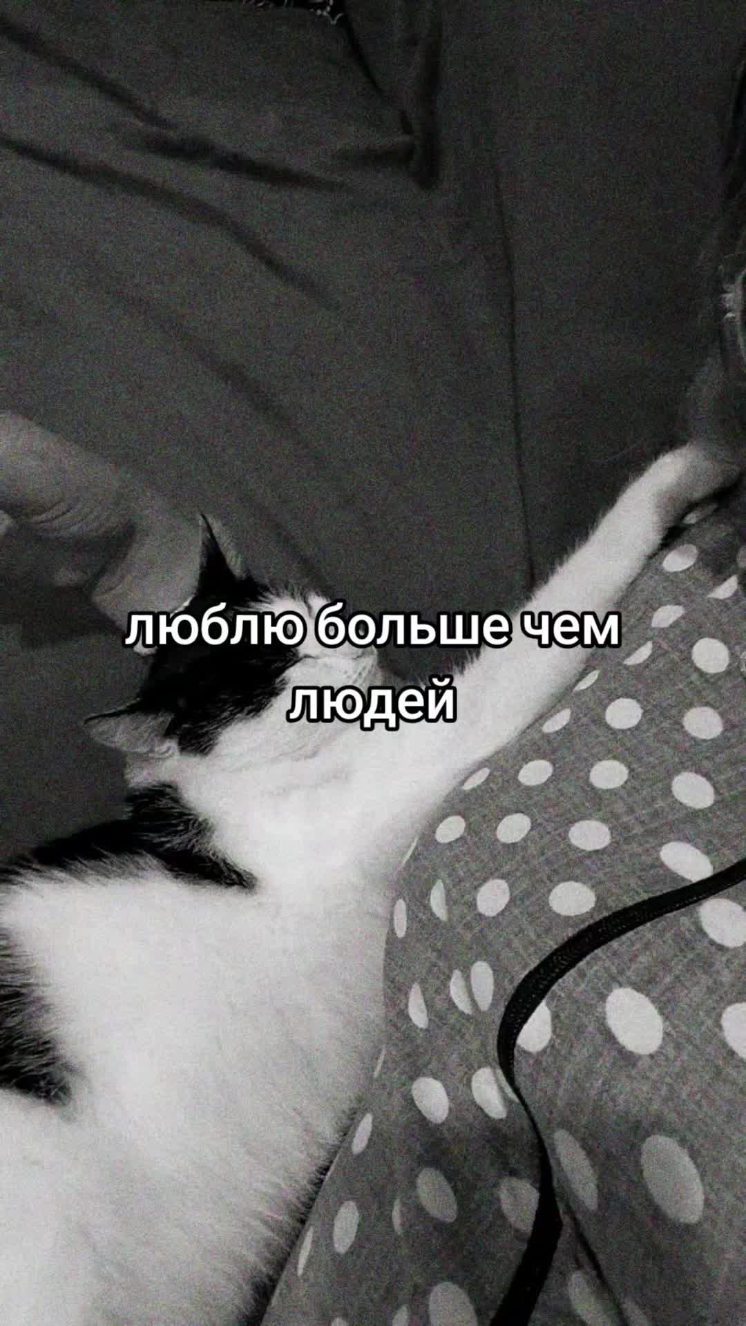 @ХАНЗИРА✌️✌️ ТОЛЬКО ПОЗИТИВ🤭😂