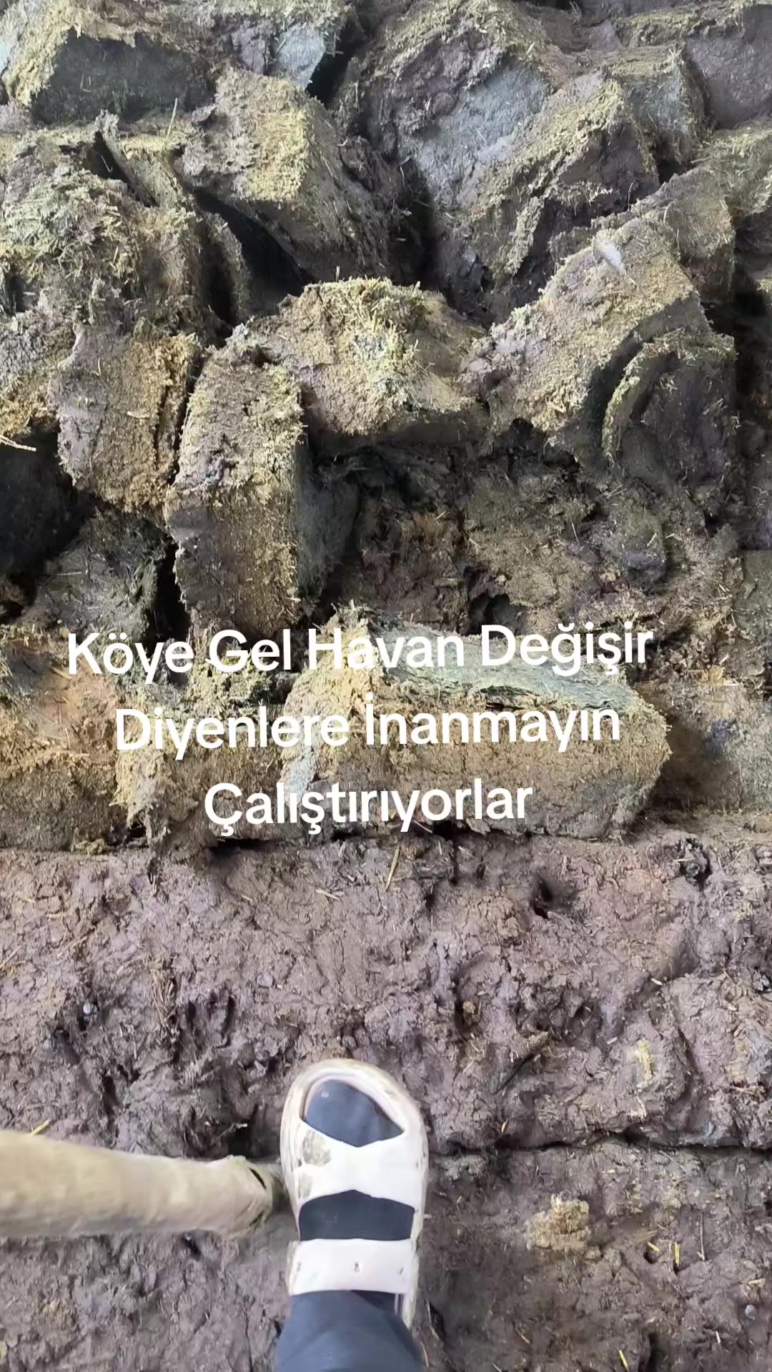 @Mehmet dağlı