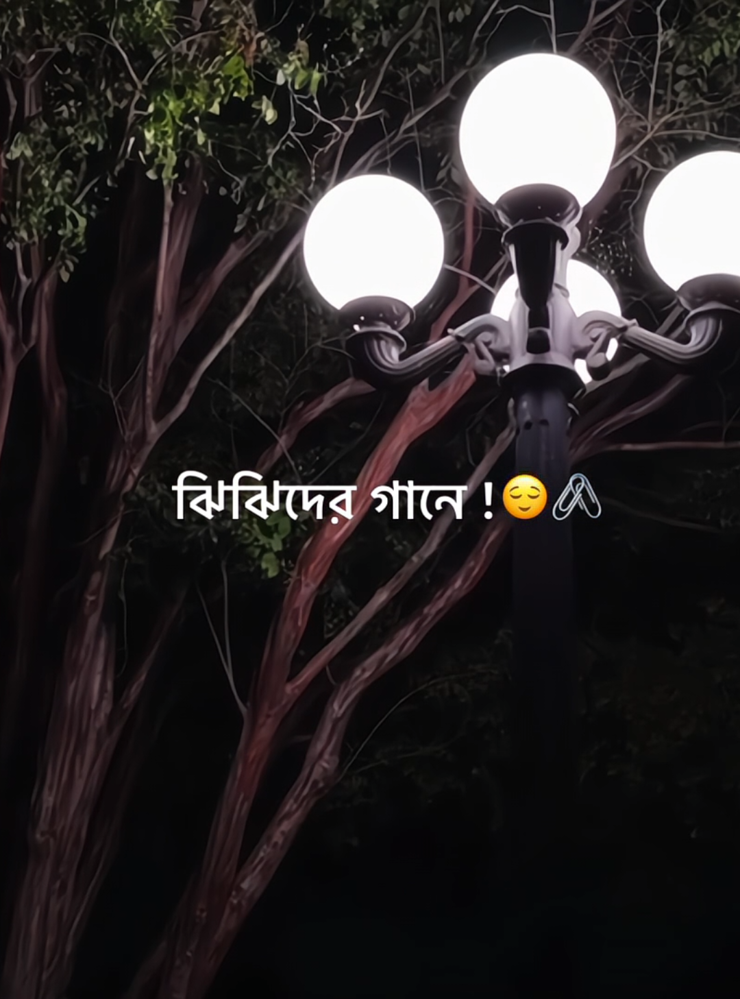 @𝐓𝐚𝐧𝐯𝐢𝐫_Bᴇʙ's ✨🖤