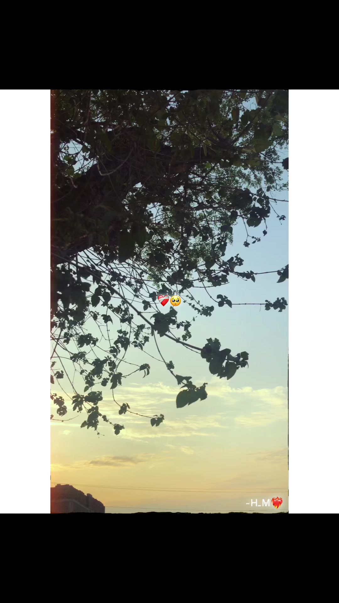 @̴H̴.̴M̴❤️🔥