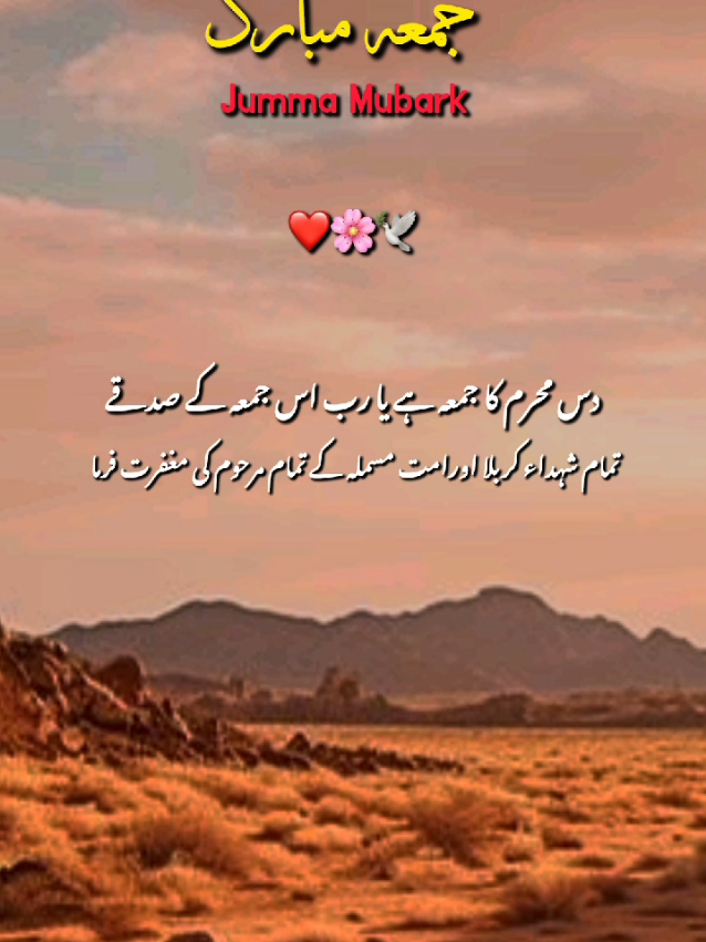 @Arooj 🦋🌼