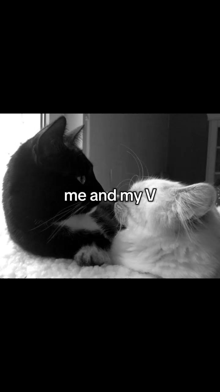 @neddi