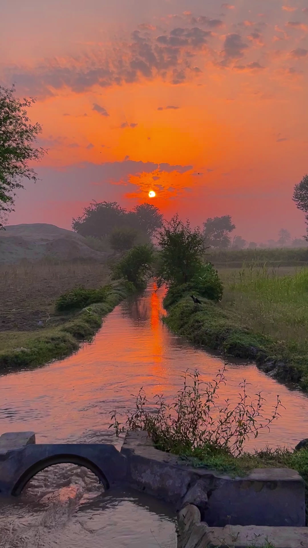 @سوہنا پنجاب🌾🫀