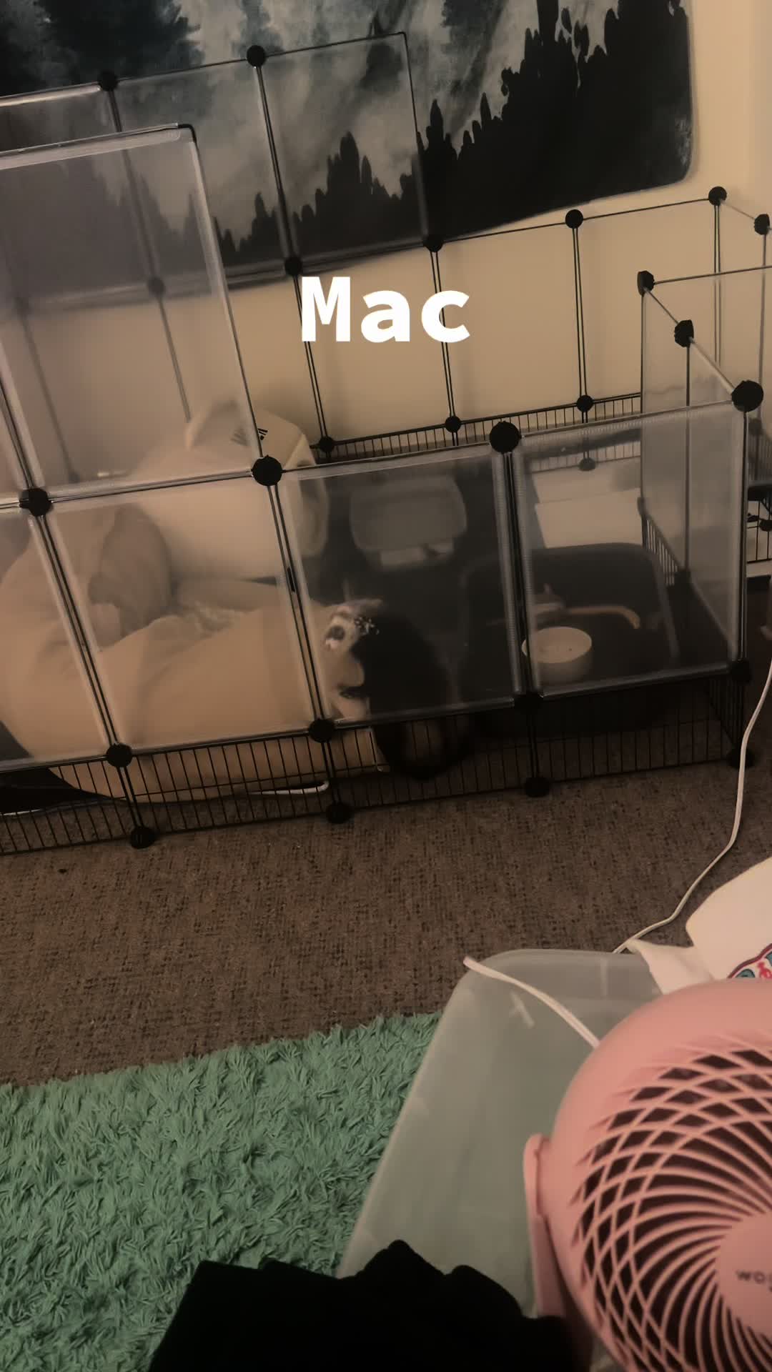 @Mac & Mylo