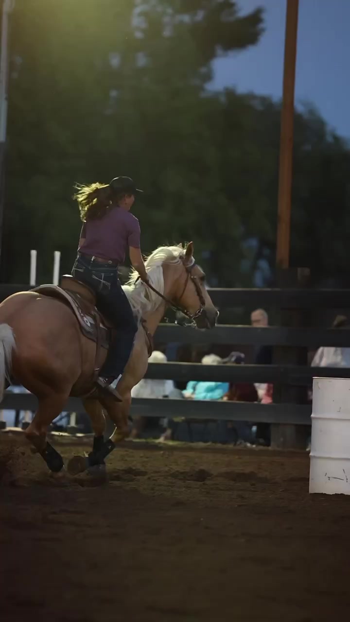 @Supercharge Performance Horses