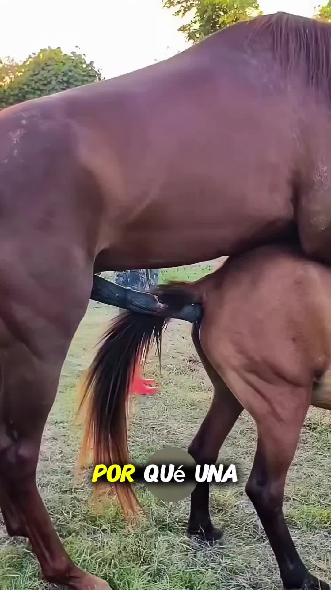 @femniverse 3