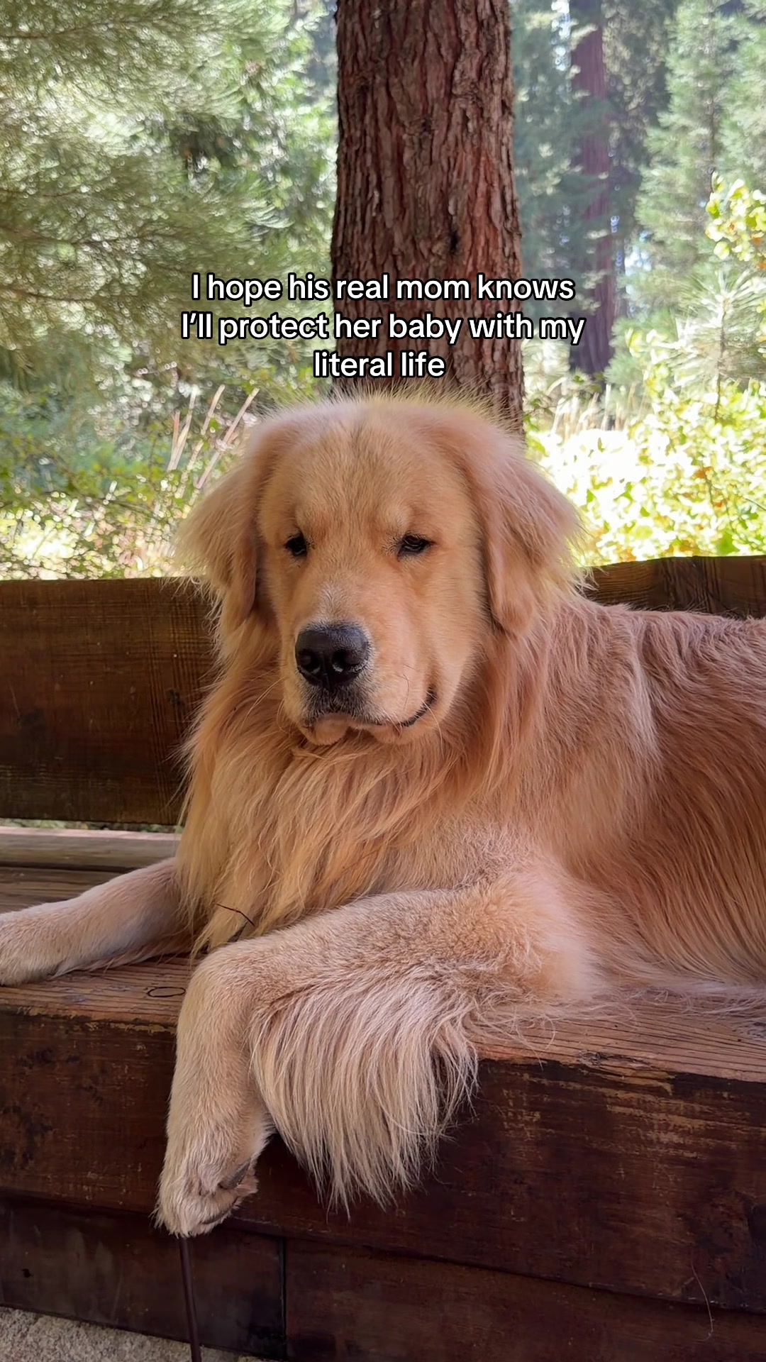 @Maui, Ruby +Hugo
