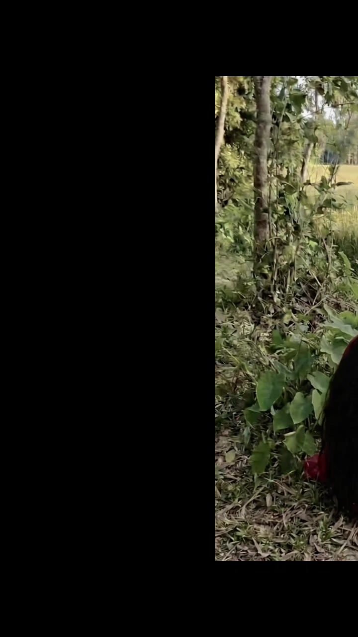 @🌺রিমঝিম বৃষ্টি🌺