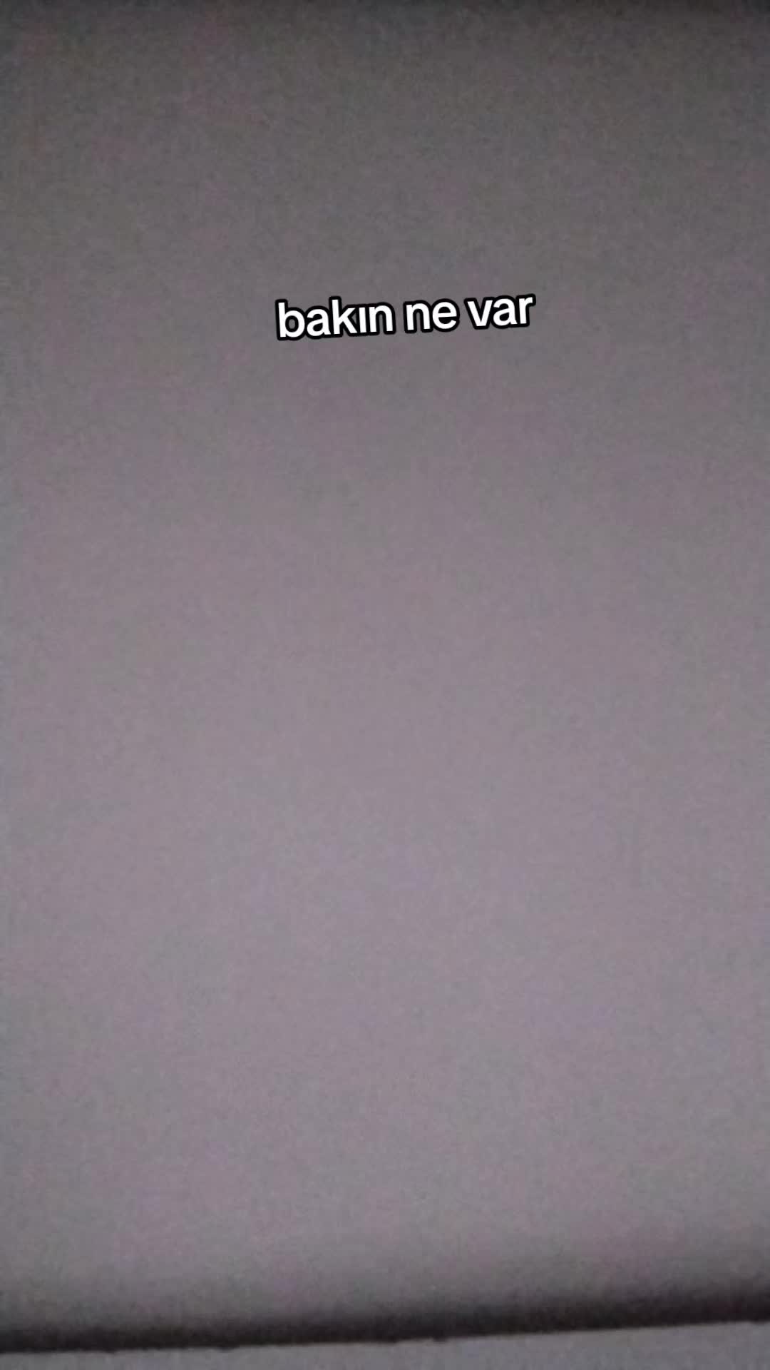 @karizmatik ayıcık. 🐻 😎