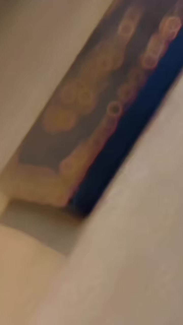 @꧁༺𝓢𝓪𝓾𝓭×͜×𝕭𝖊𝖙𝖙𝖆𝖓ℹ︎༻꧂