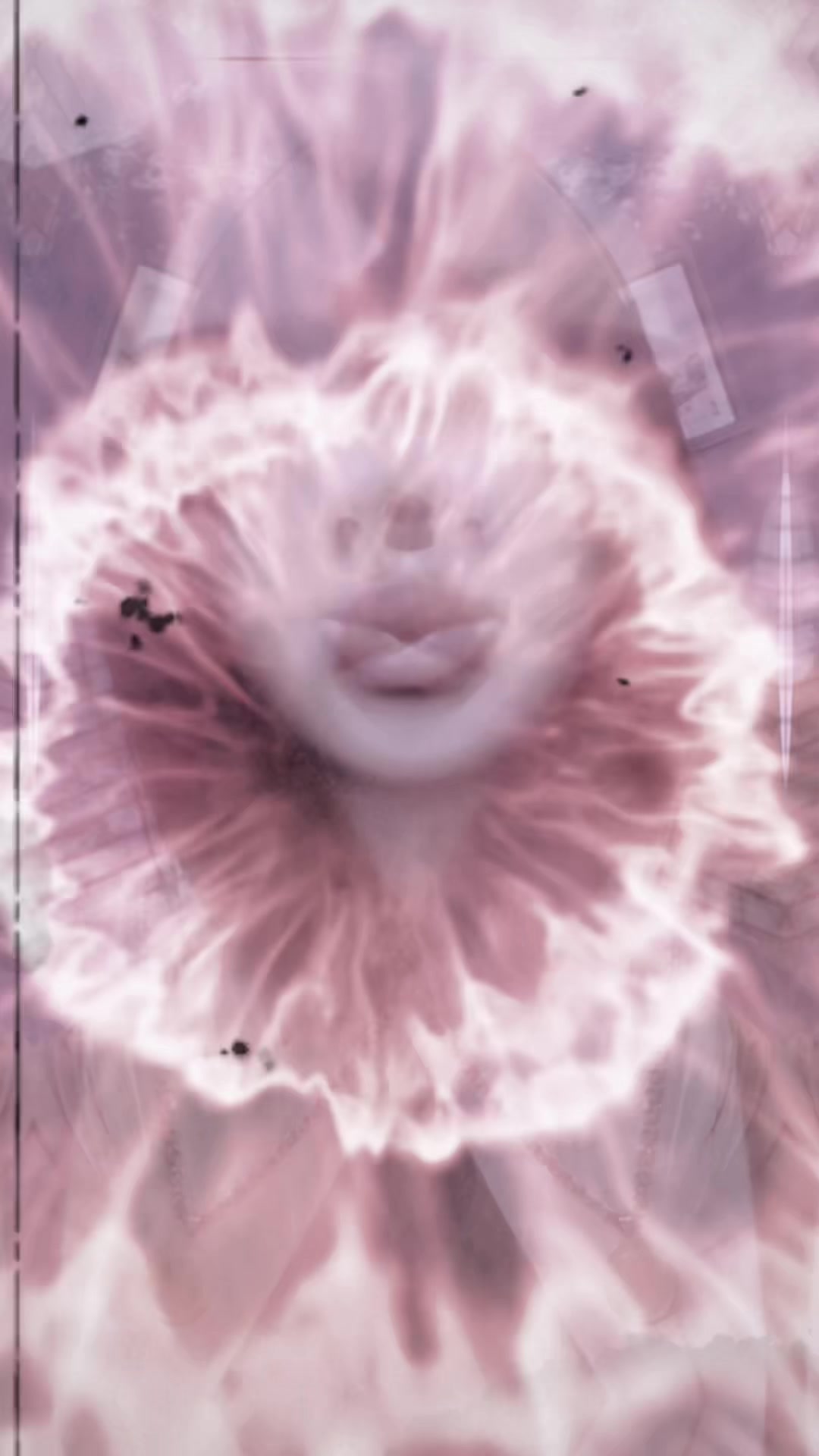 @tik tok