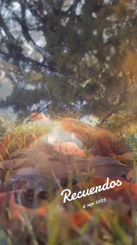 @estrella Matos