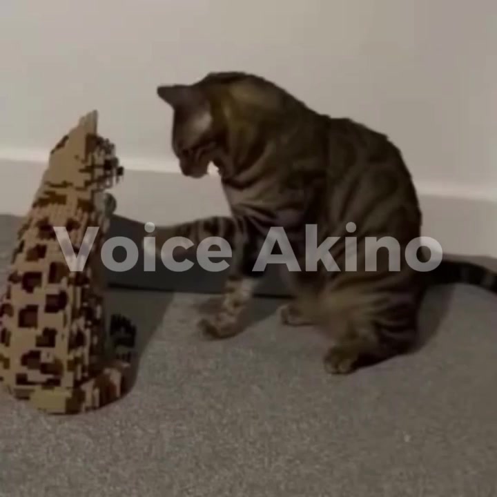 @Akino Shenji