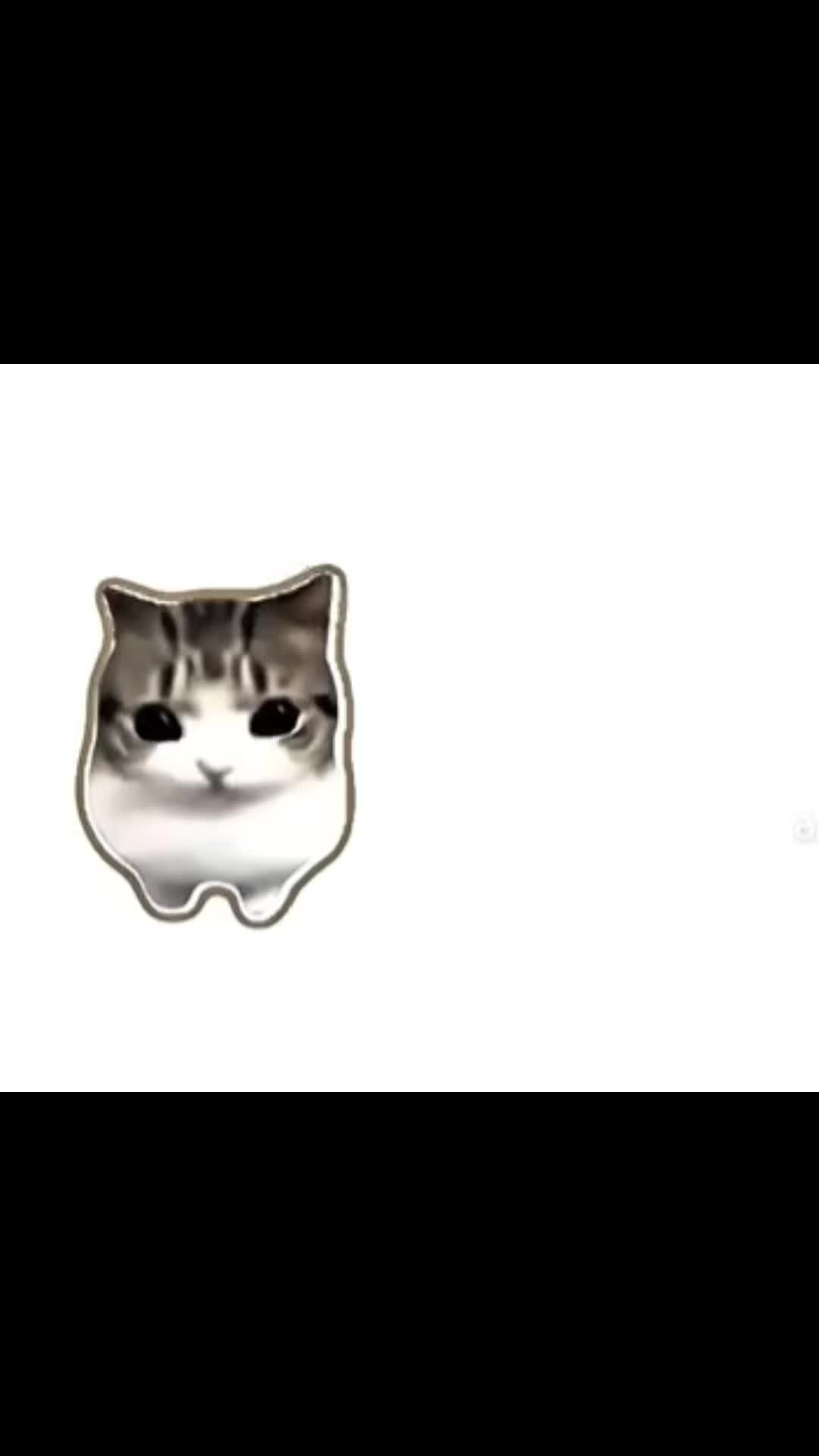 @leoeditz1710