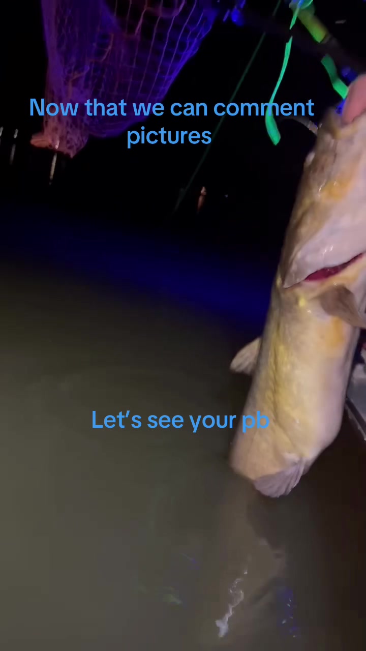 @BlueCollarKatz