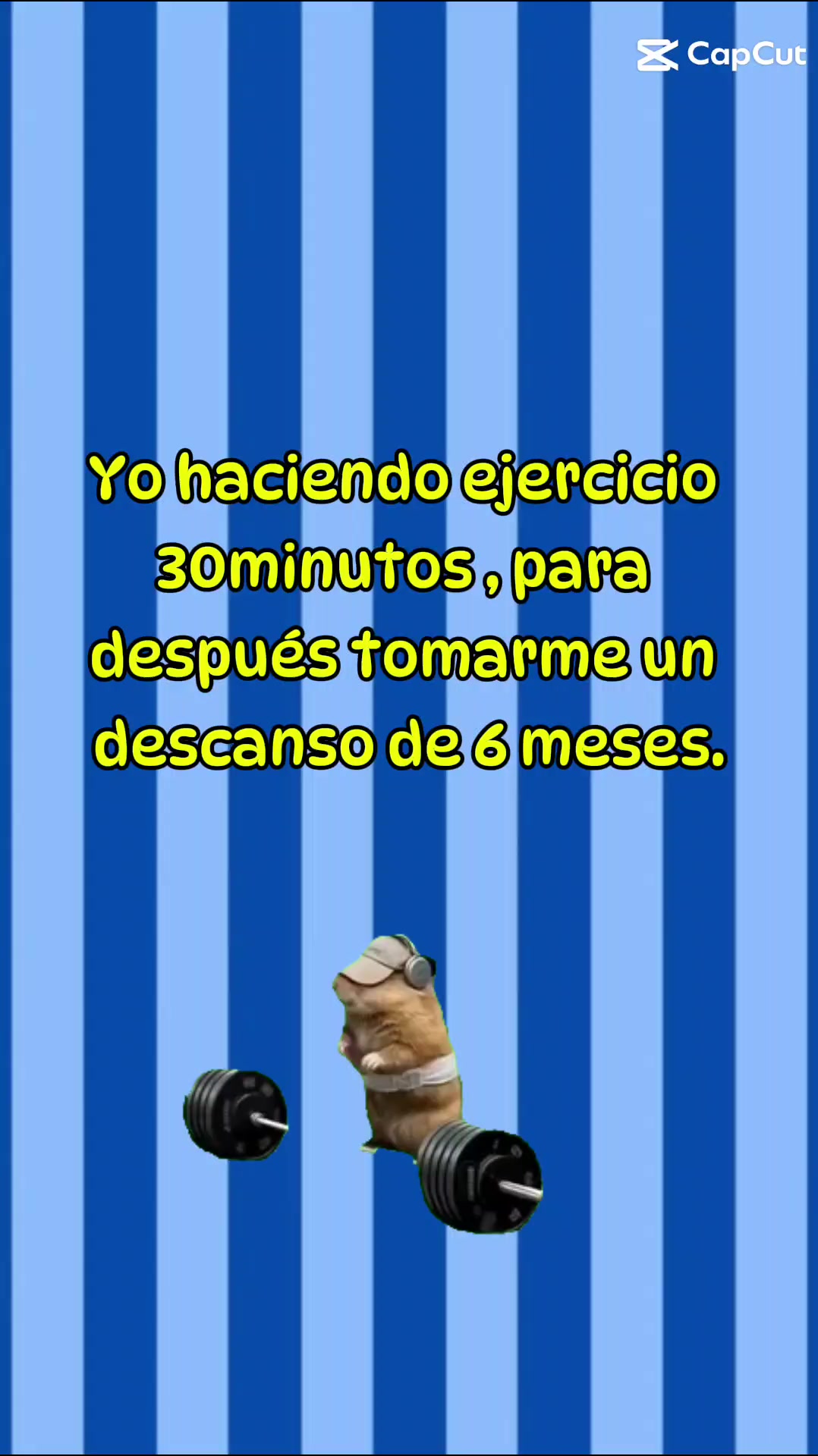 @Mariiapadilla 🌸