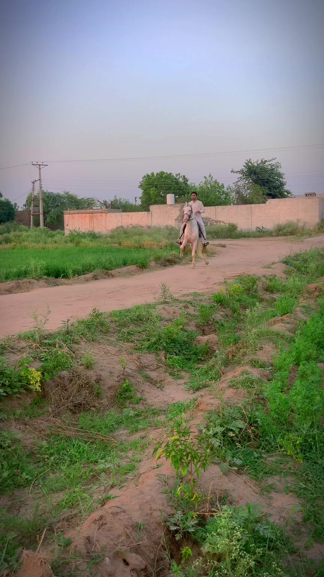 @Malik_Irfan_Shahbazi