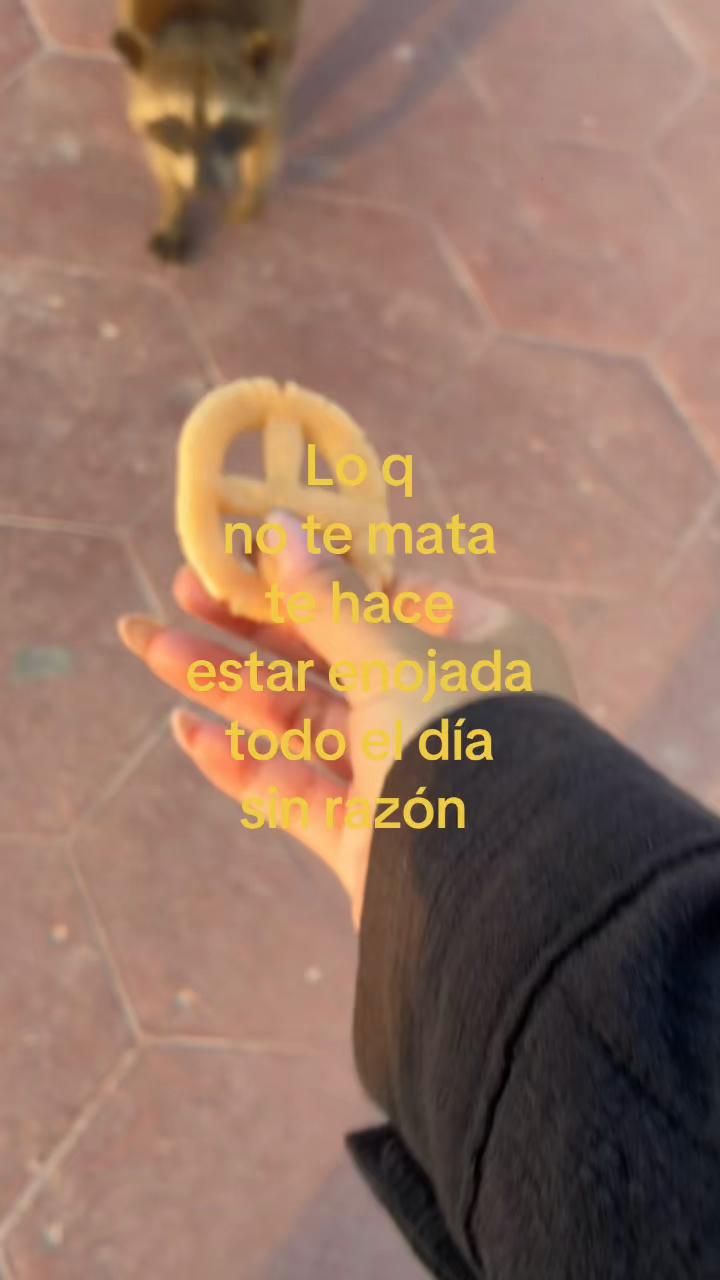 @𝐓