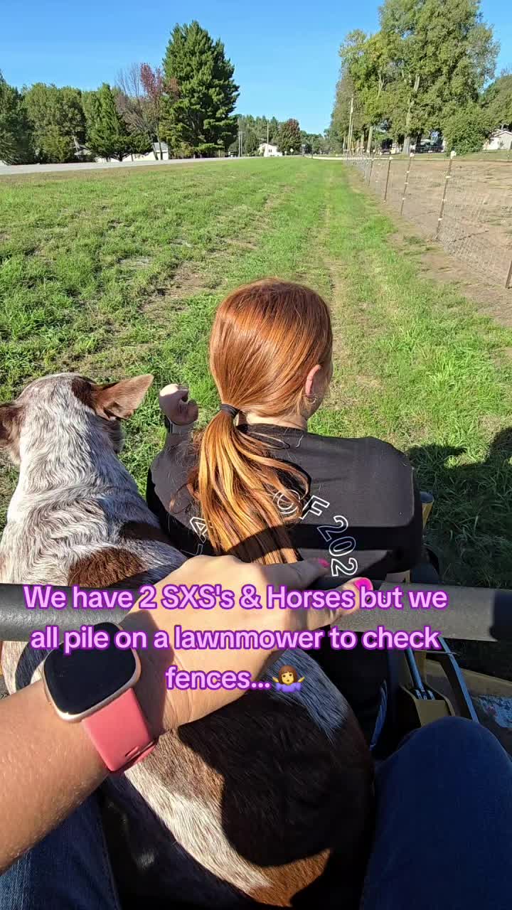 @Small Town Farm LLC