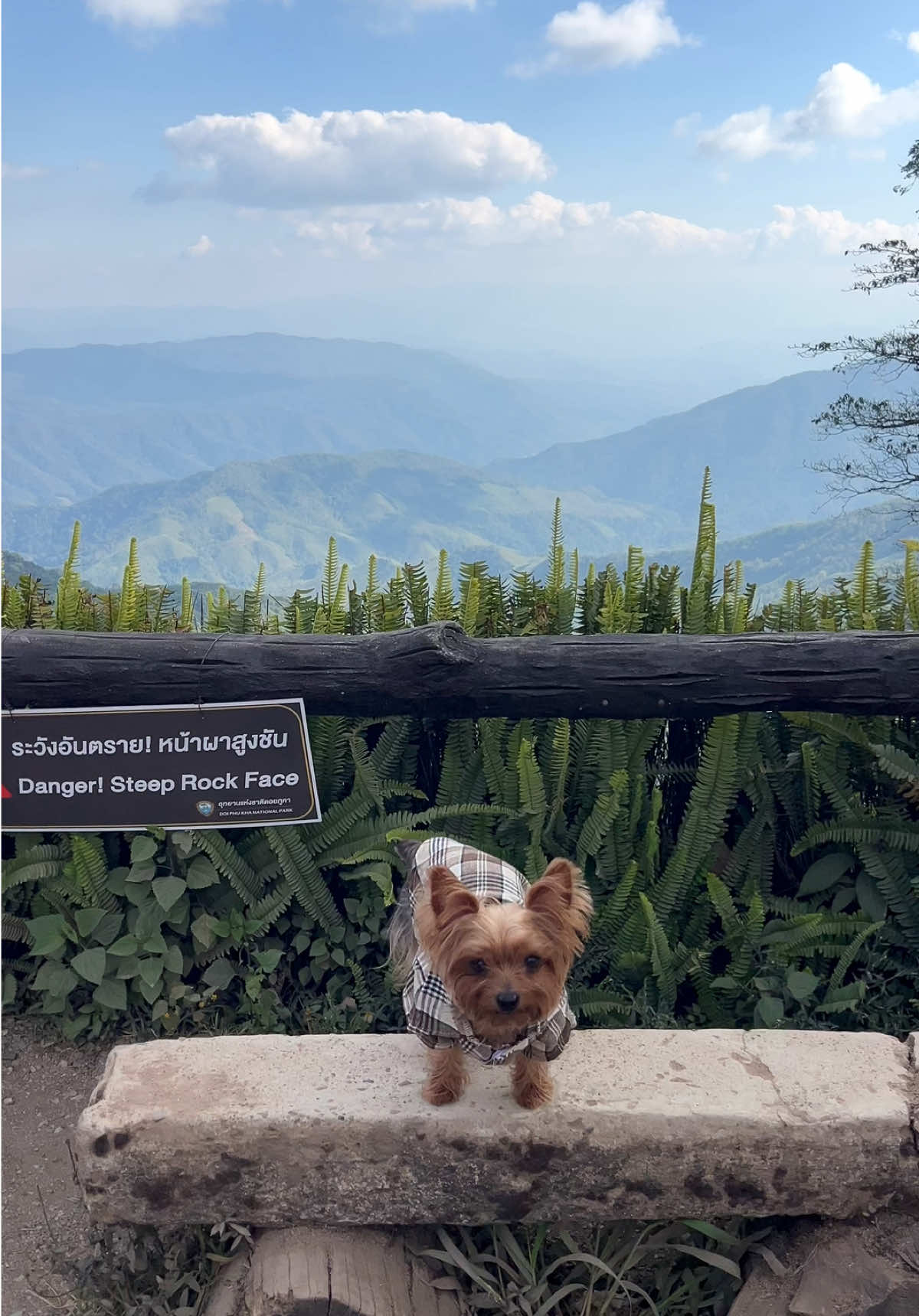 @พี่ขุงขิง & น้องโคโค่ 🐶💕