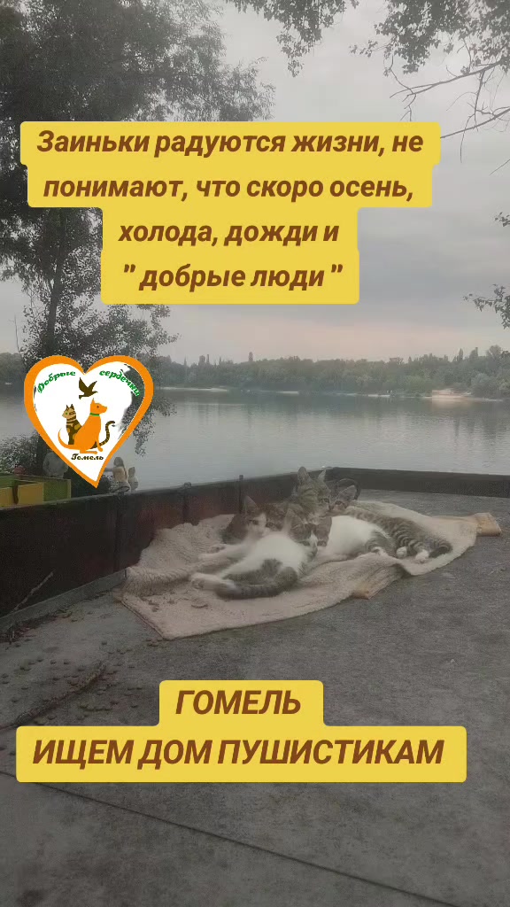 @Марина