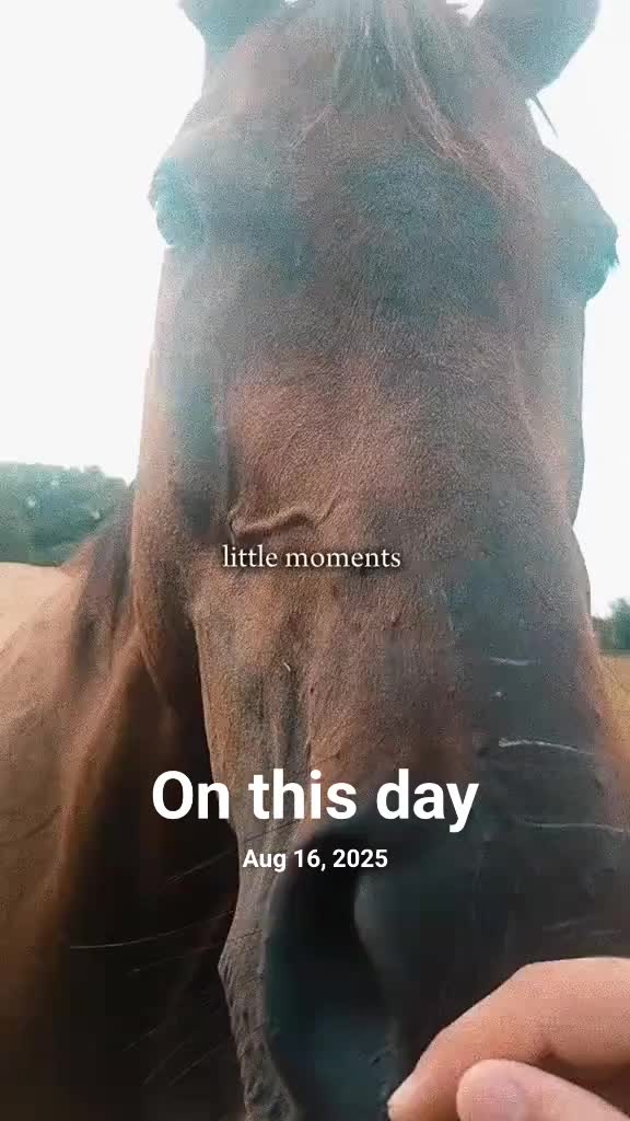 @Tetris_eq