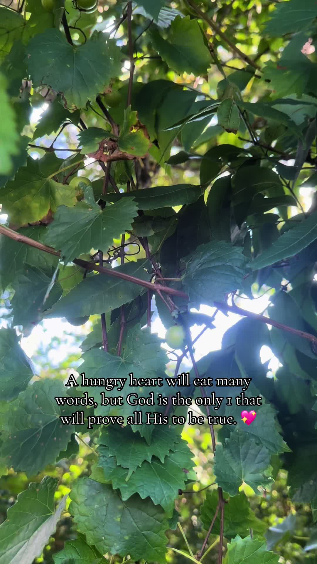 @👑🩷🌸🎀✨